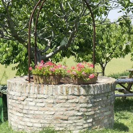 Mori Feriegård Rimini