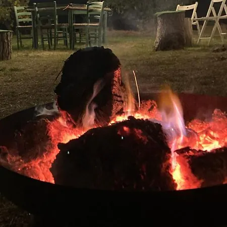 Gospodarstwo agroturystyczne Mori Rimini