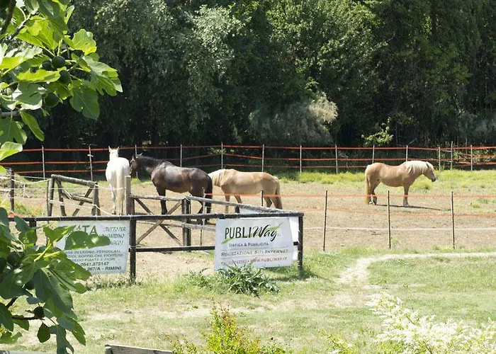 Mori Farm stay Rimini