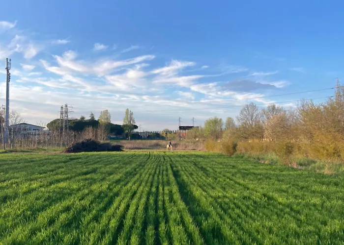 Agriturismo Case Mori ريميني