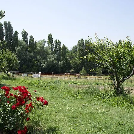 Séjour à la ferme Mori