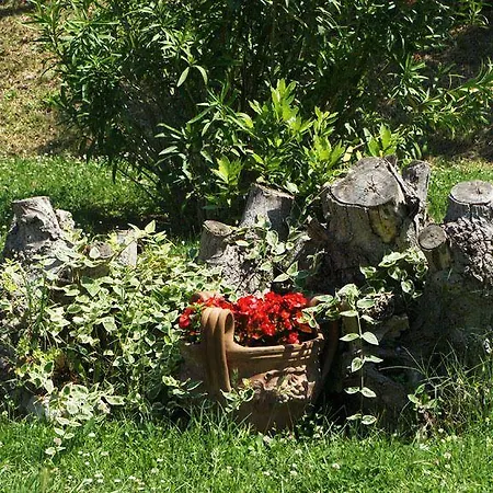 Séjour à la ferme Mori *