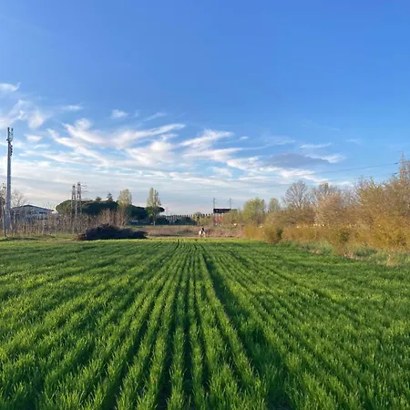 Mori Rimini